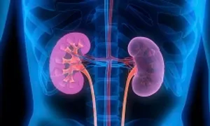 7 thói quen tưởng vô hại khiến thận tổn thương 7 thói quen tưởng vô hại khiến thận tổn thương