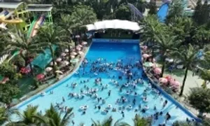 Lợi nhuận chủ quản công viên nước Đầm Sen giảm mạnh Lợi nhuận chủ quản công viên nước Đầm Sen giảm mạnh
