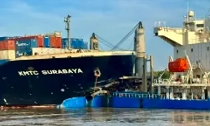 17 ha rừng Cần Giờ bị dầu loang sau sự cố tàu hàng tông nhau