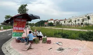 Giao dịch đất thổ cư ở Hà Nội giảm hơn 50% Giao dịch đất thổ cư ở Hà Nội giảm hơn 50%