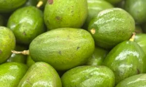 5 món từ thực vật giúp giảm cholesterol xấu 5 món từ thực vật giúp giảm cholesterol xấu