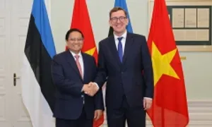 Estonia sẵn sàng tăng cường hợp tác khoa học công nghệ với Việt Nam Estonia sẵn sàng tăng cường hợp tác khoa học công nghệ với Việt Nam