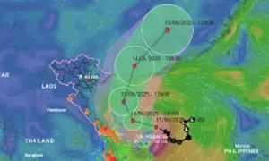 Hai kịch bản di chuyển của bão Wutip