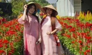 Đồng Tháp giữ vững top 4 du lịch ĐBSCL