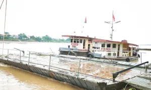 Nối lại cầu phao Phong Châu Nối lại cầu phao Phong Châu