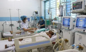 10 người tử vong vì sốt xuất huyết, TP HCM cảnh báo dịch 10 người tử vong vì sốt xuất huyết, TP HCM cảnh báo dịch