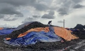 Giám đốc bị khởi tố vì doanh nghiệp lén xả thải ra môi trường