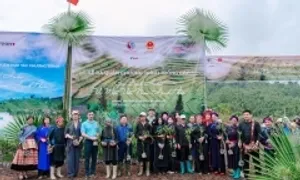 Timo hợp tác Bộ Nông Nghiệp và Môi Trường trồng 20.000 cây xanh Timo hợp tác Bộ Nông Nghiệp và Môi Trường trồng 20.000 cây xanh