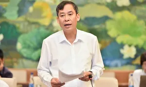 Bộ Giáo dục: Vụ học sinh kéo tóc, ghìm cô giáo là 'nghiêm trọng'