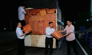 Nhiều tổ chức quốc tế hỗ trợ Việt Nam khắc phục hậu quả thiên tai