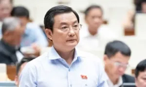 'TP HCM không xin thêm tiền, chỉ xin thể chế'